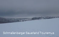 Panoramablick vom Herhagen auf den Ort Altastenberg
