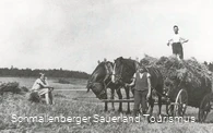 Getreideernte bei Eslohe um 1920.
