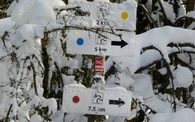 Ski-Loipe Lützel
