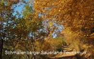 Herbst im Schmallenberger Sauerland