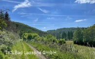 L4 Ortswanderweg Bad Laasphe - Wiesenflächen Bracht