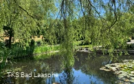 Teich Kurpark Bad Laasphe