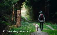 Wanderin mit Hund auf einem Waldweg auf dem Rothaarsteig