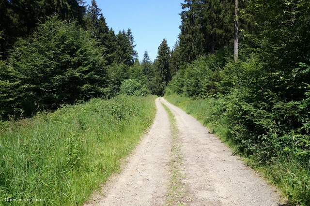 Wegeverläufe entlang blühender Wiesen und durch ruhige Wälder