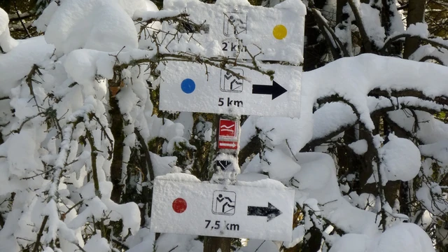 Ski-Loipe Lützel