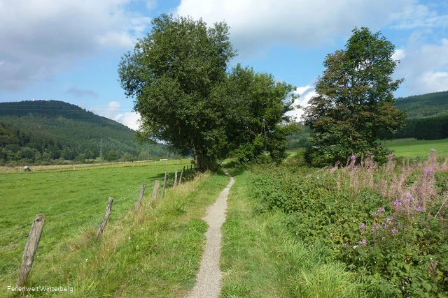 Trail zwischen Hillebachsee und Hildfeld