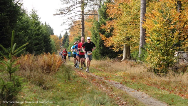 Streckenabschnitt des Rothaarsteig-Marathon