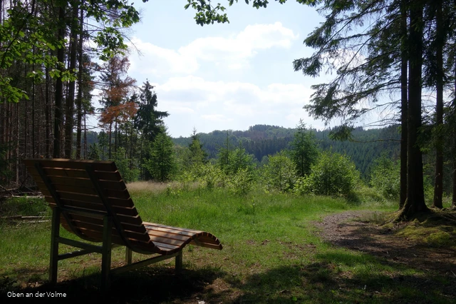 Das Waldsofa am "Erlebnispunkt Schanhollen" lädt zum Verweilen ein
