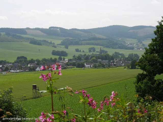 Ausblick auf Reiste in der Ferienregion Eslohe